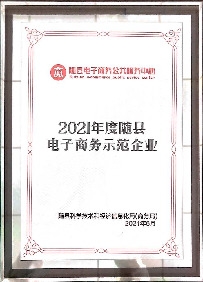 Sui County E-commerce demonstration Enterprise(2021)