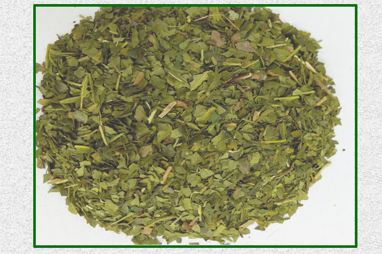 Green Tea Finnings - Organic Green Tea Finnings